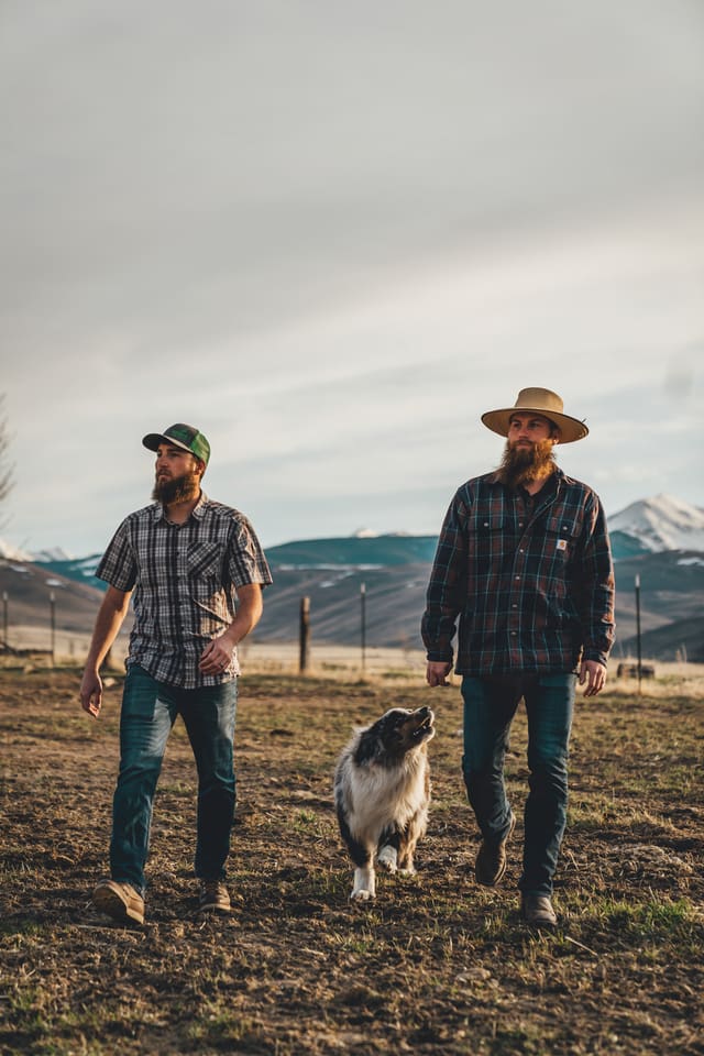 Bison Ranching photograph 13