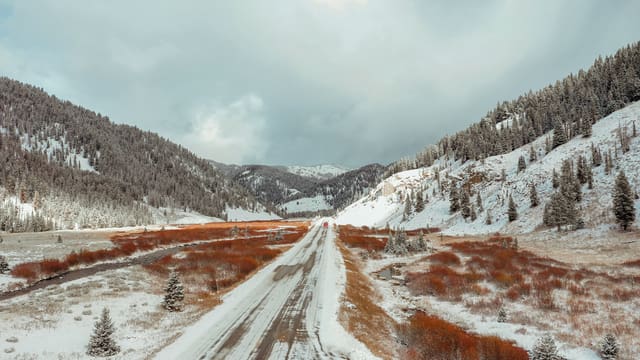 Bison Ranching photograph 17