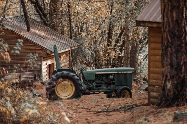 Bison Ranching photograph 29