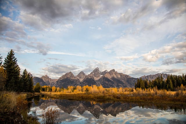 Bison Ranching photograph 59