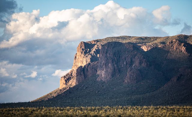 31-MLR_8647